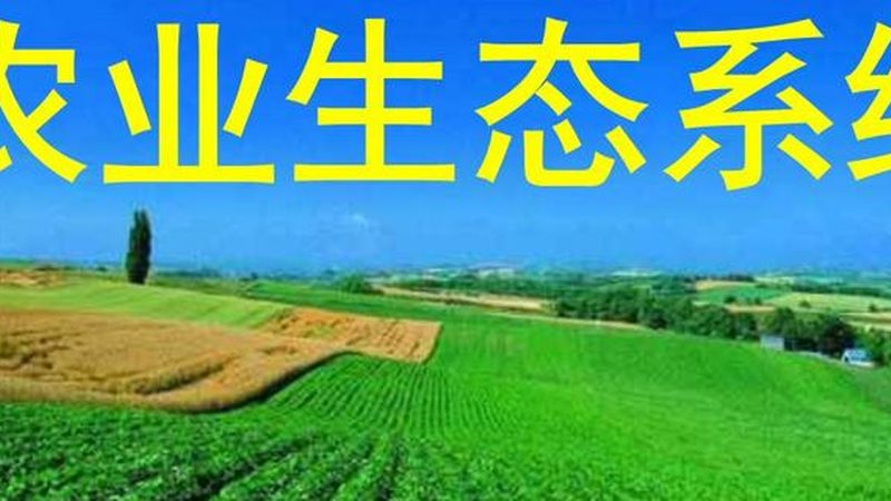 食品企业绿色认证流程解析：从田间到餐桌的绿色守护