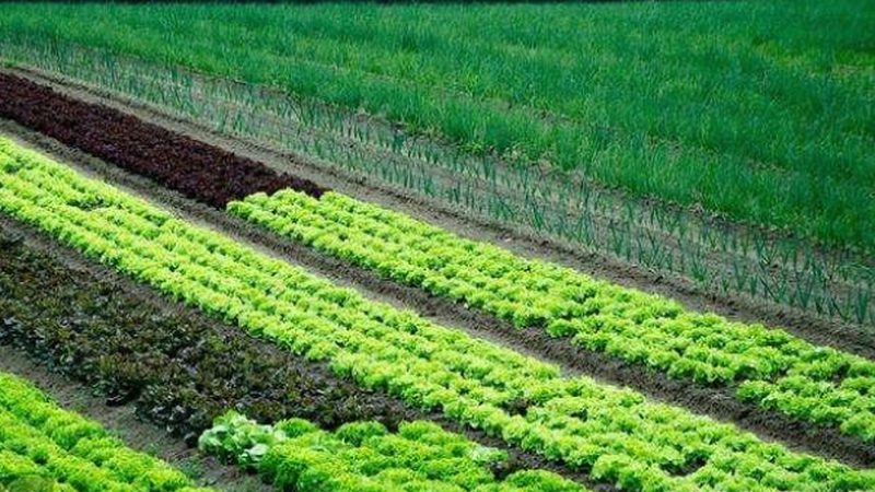 农业种植技术培训费用退费指南**
