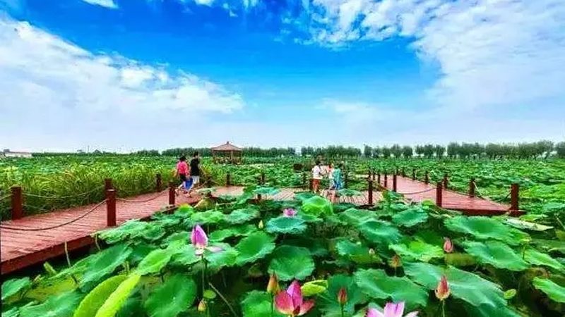 设施农业设备：揭秘十大品牌背后的技术秘密