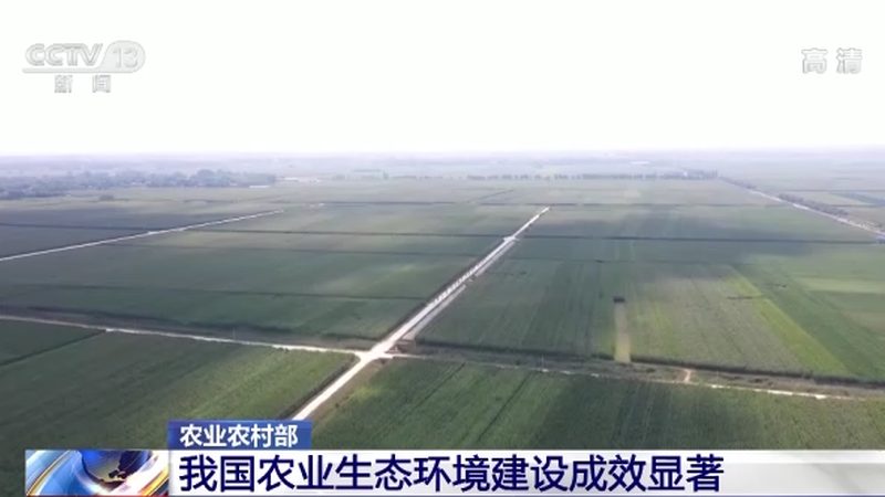 具体费用如下：