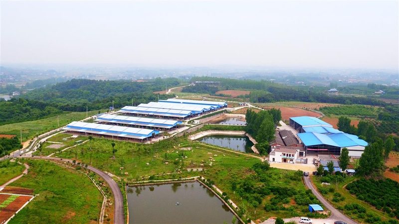 农民专业合作社的经营范围，这样写才合规又实用