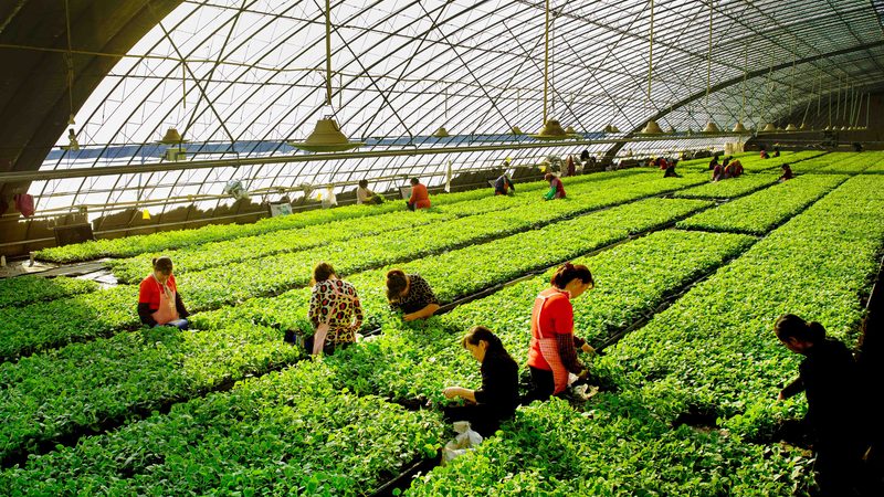 生鲜配送岗位的考核，不能只盯着准时率