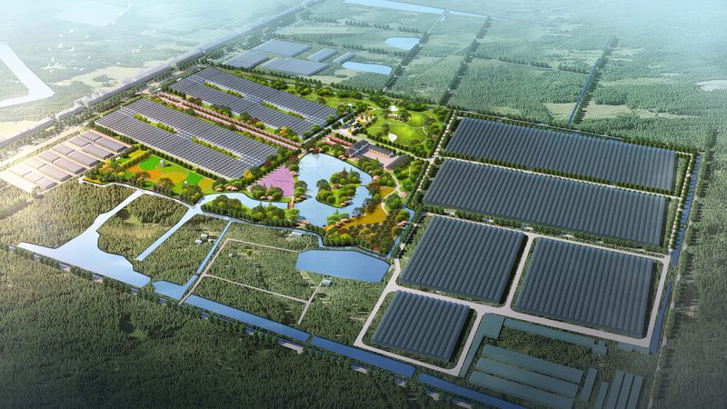 农业项目标准规范查询系统：构建高效农业管理新桥梁