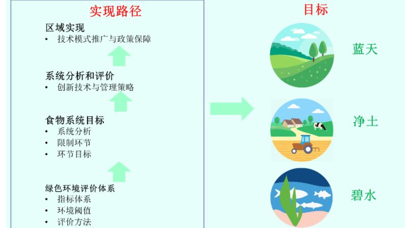绿色食品标志使用规范：违规处罚与合规要点