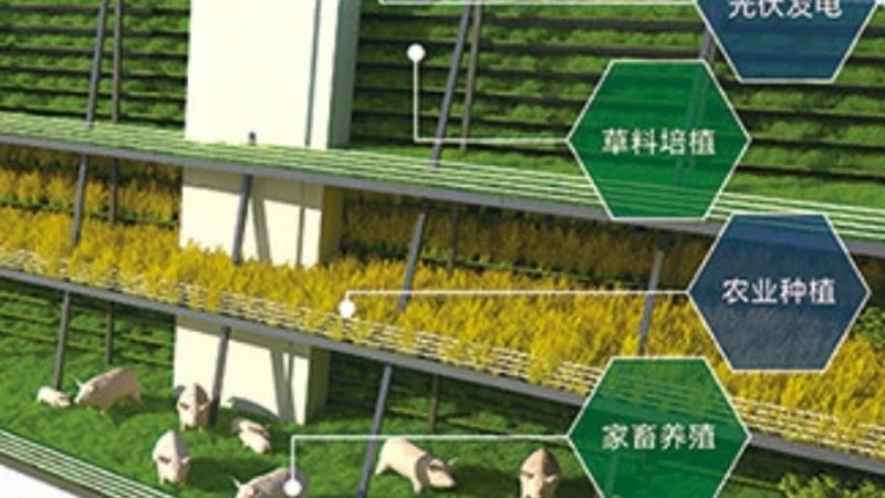 合作社税收优惠，如何精准把握政策红利？**