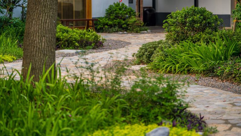 草莓种植肥料配方与步骤解析
