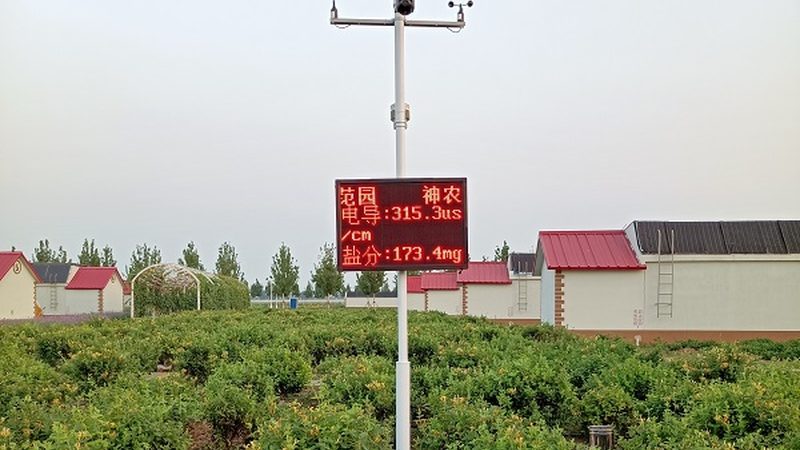 大型商超果蔬配送损耗控制：揭秘降低损耗的五大策略**