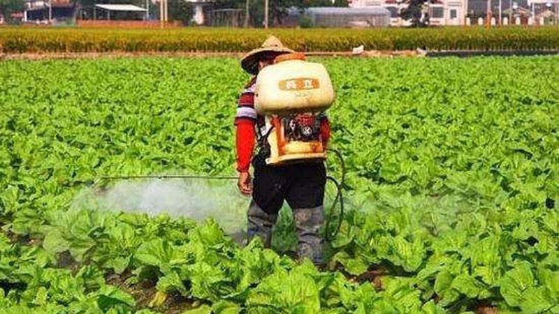 循环农业水肥一体化系统：现代农业的绿色解决方案