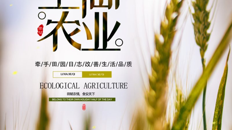 蔬菜配送，价格波动背后的市场逻辑**